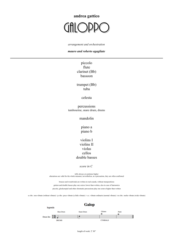 2016-01-andrea-gattico-score-05